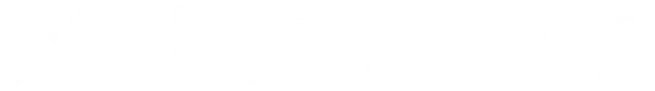 AION V